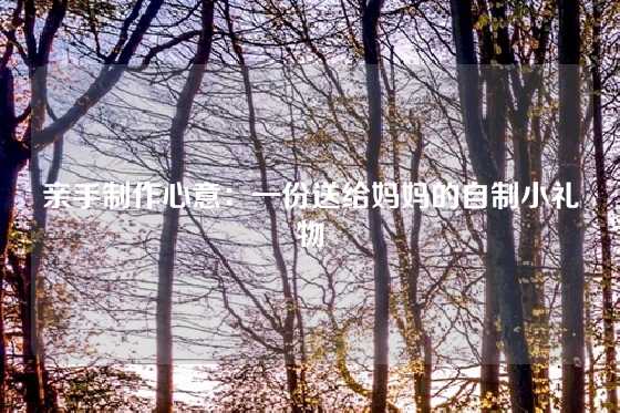 亲手制作心意:一份送给妈妈的自制小礼物