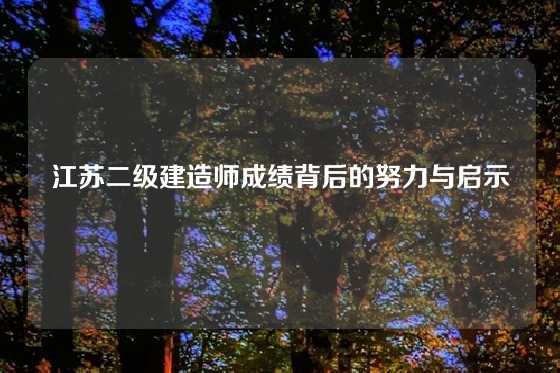 江苏二级建造师成绩背后的努力与启示