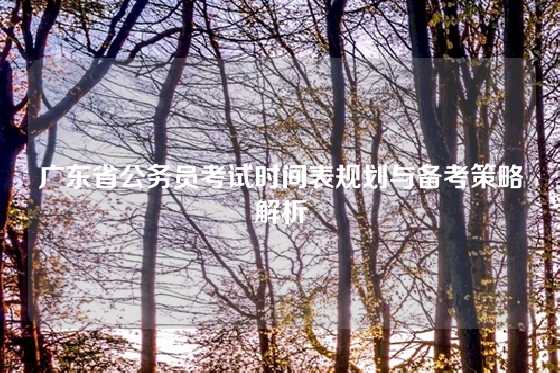 广东省公务员考试时间表规划与备考策略解析